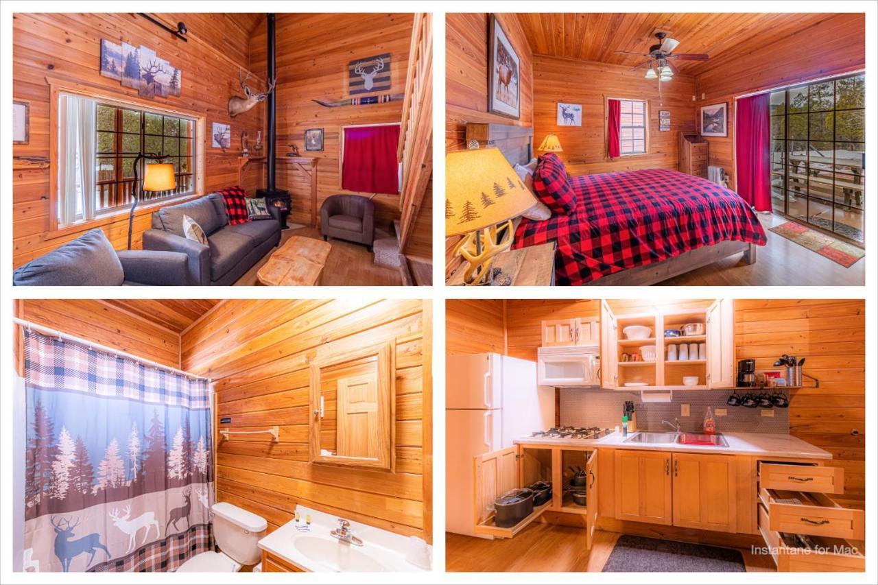 Cabin #4 The Wolves Den - Pet Friendly- Sleeps 6 - Playground & Game Room Пейсон Екстер'єр фото